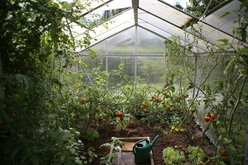 Préparer son jardin pour le printemps